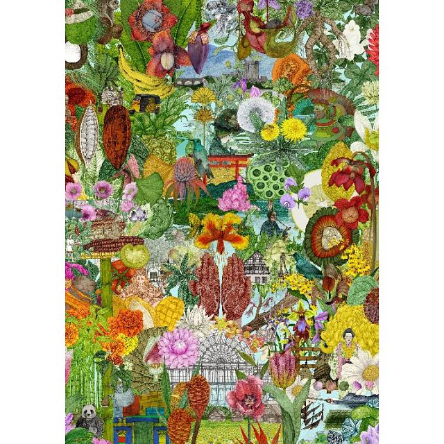 Around the World in 50 Plants
