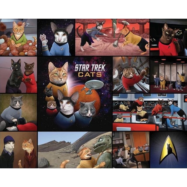 Star Trek Cats