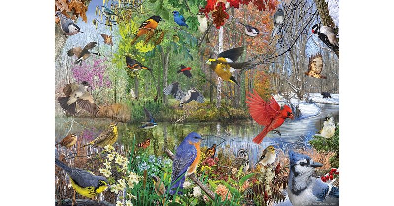 Birds of the Season | 1000 Pieces | Puzzle Master Inc