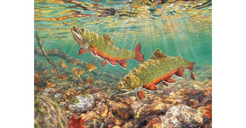 Cobble Hill 1000 Teile Puzzle – Brook Trout, Mit Poster, Umweltfreundlich In USA Hergestellt