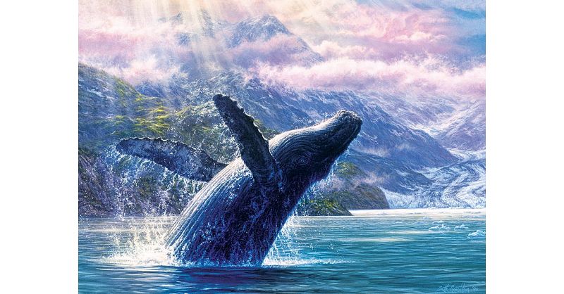 Cobble Hill Puzzle 1000 Pezzi – Leviathan Of Glacier Bay, Megattera E Montagne - 3