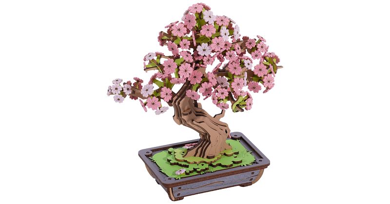 sakura　５台セット（１） 019648.1748019988.jpg
